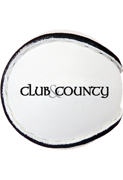 Picture of Club & County Training Sliotar