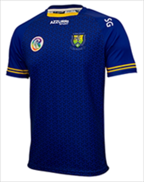 Picture of Wicklow Camogie Training Jersey Custom