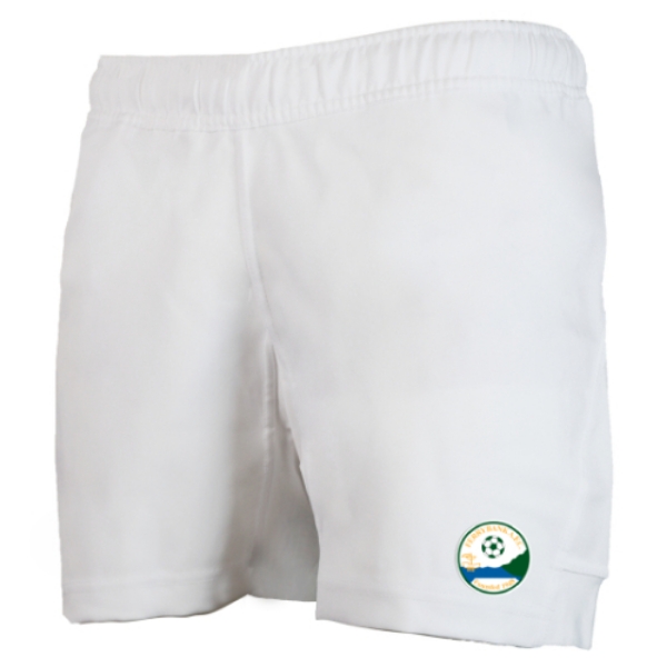 Picture of Ferrybank AFC Pro Training Shorts White
