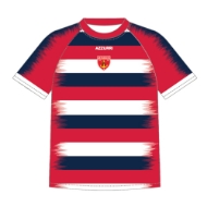 Picture of Passage East Hurling Club Kids Training Jersey Custom