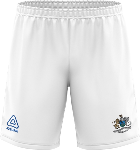 Picture of Waterford & District Junior League Away Shorts Custom