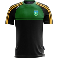 Picture of Clan Na Gael Atlanta T-Shirt Black-Deep Green-Gold