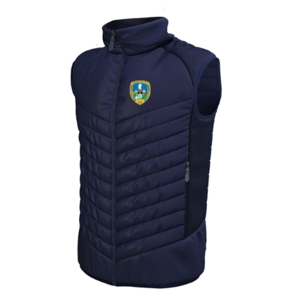Picture of Lisgoold LGFA Apex Gilet Navy