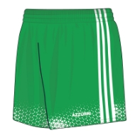 Picture of Limerick LGFA Kids Match Shorts Custom