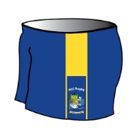 Picture of Athlone Community College Rugby Shorts Custom