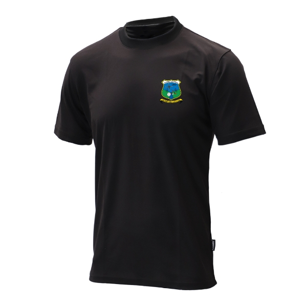 Picture of Naomh Bríd GAA Dry Thru T Shirt Black