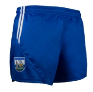 Picture of Waterford GAA 2021 Playing Shorts Waterford Blue-White