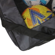 Picture of 4 Ball Carry Bag