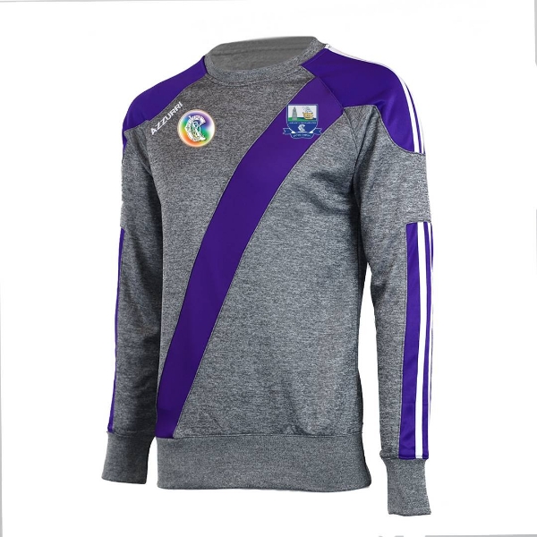 Picture of Waterford Camogie Alt 2 Brooklyn Crew Neck grey melange-purple-white
