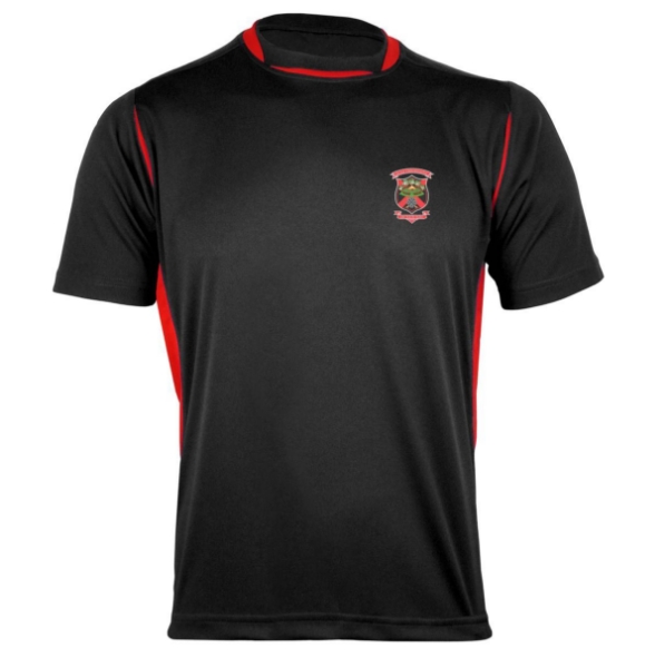 Picture of OLD CHRISTIANS GAA Pro Tee Black-Red