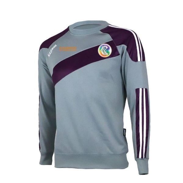 Picture of Camogie Association Alt Brooklyn Crew Neck grey-purple-white