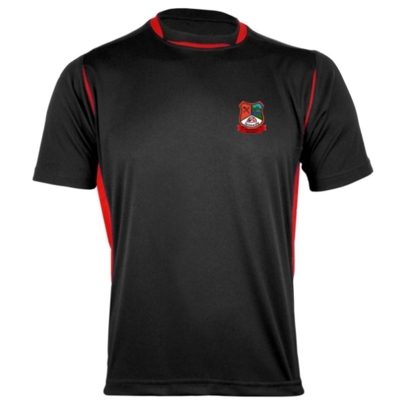 Picture of MITCHELSTOWN BALLYGIBLIN Pro Tee Black-Red