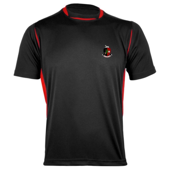 Picture of NEWMARKET GAA Pro Tee Black-Red