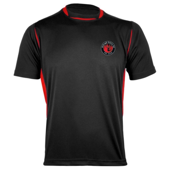 Picture of AULTAGH CELTIC Pro Tee Black-Red