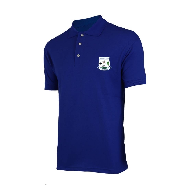 Picture of breaffy gaa Cotton Kids Polo Royal