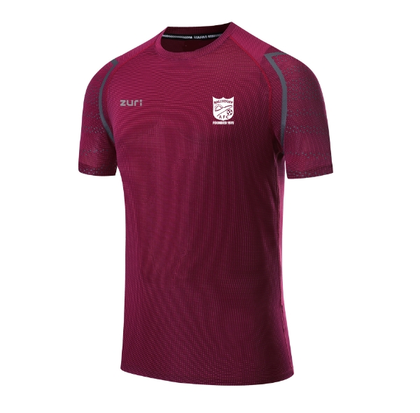 Picture of ballyduff afc ic t-shirt Maroon