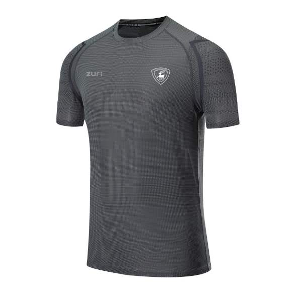 Picture of clonea gaa ice t-shirts Grey