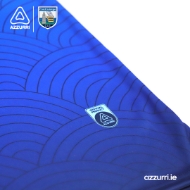 Picture of Waterford 2023 Alternative Training Jersey Custom