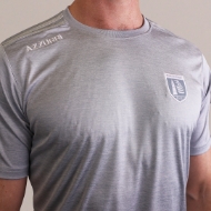 Picture of Waterford GAA Boston T-Shirt Grey-White