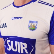 Picture of Waterford GAA 24-25 Home Player Fit Jersey Custom
