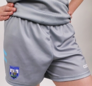 Picture of Waterford GAA 24-25 Goalie Kids Shorts Grey-Aqua