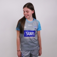 Picture of Waterford GAA 24-25 Goalie Kids Jersey Grey-Aqua