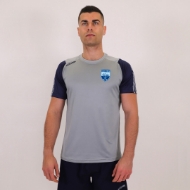 Picture of Roanmore GAA Rio Tshirt Grey-Navy