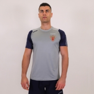 Picture of St Josephs GAAT-Shirt Grey-Navy