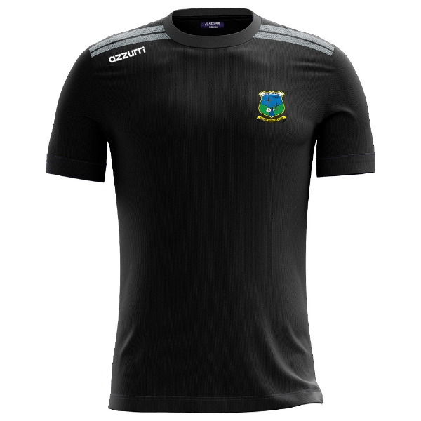 Picture of Naomh Bríd GAA Boston T-Shirt Black-Grey