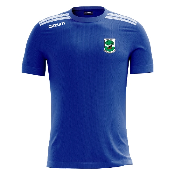 Picture of Fethard GAA Boston T-Shirt Royal-White