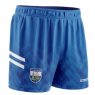 Picture of Waterford GAA 24-25 kids shorts Custom