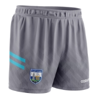 Picture of Waterford 24-25 Goalie Kids Shorts Grey-Aqua