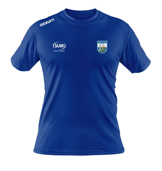 Picture of Waterford GAA Cotton t-Shirt Royal