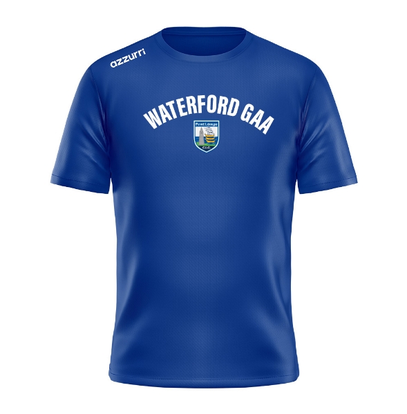 Picture of Waterford GAA Kids Cotton T-Shirt Royal